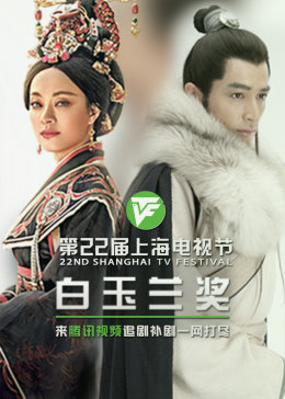 手机奇奇海报剧照