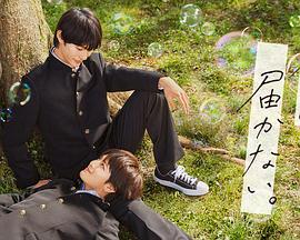 日日爱爱影院海报剧照