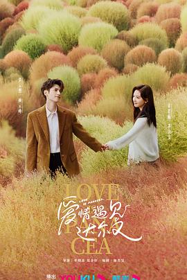 日韩久久久久久中文人妻海报剧照