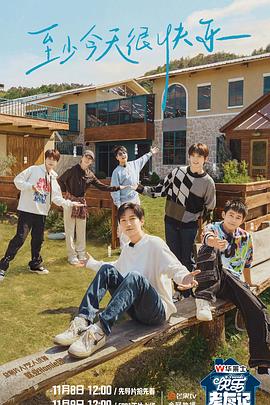 陈思成王宝强海报剧照