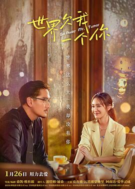 超时空男臣海报剧照